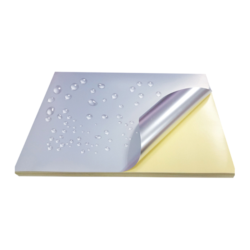 50 µm mattsilberne Haustierfolie mit gelber Silikoneinlage